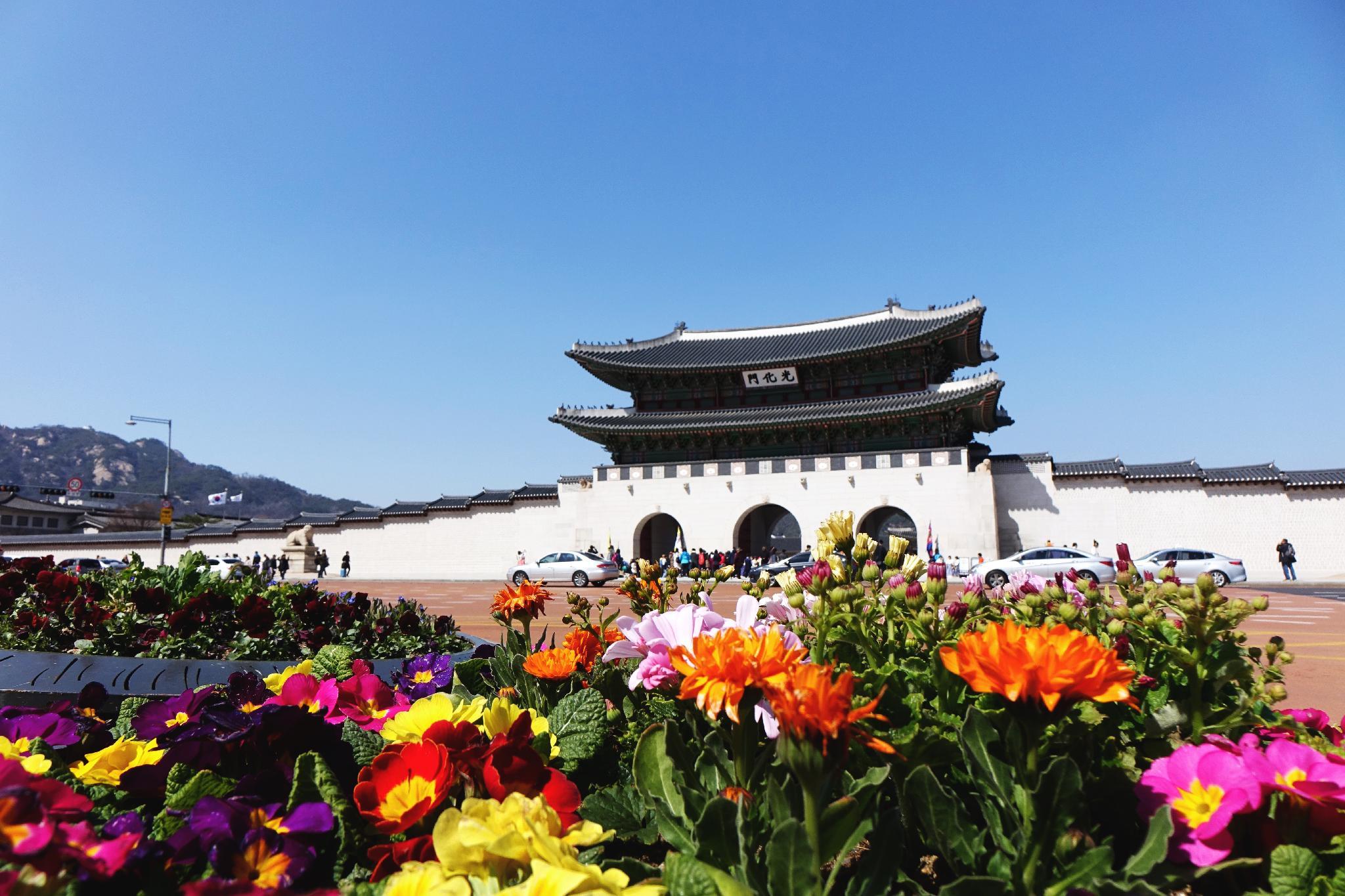 โซล, เกาหลีใต้ FUN & Easy Package 🎆🎉 ตั๋วเครื่องบิน + ที่พัก 4 วัน 3 คืน @Migliore Hotel Seoul Myeongdong